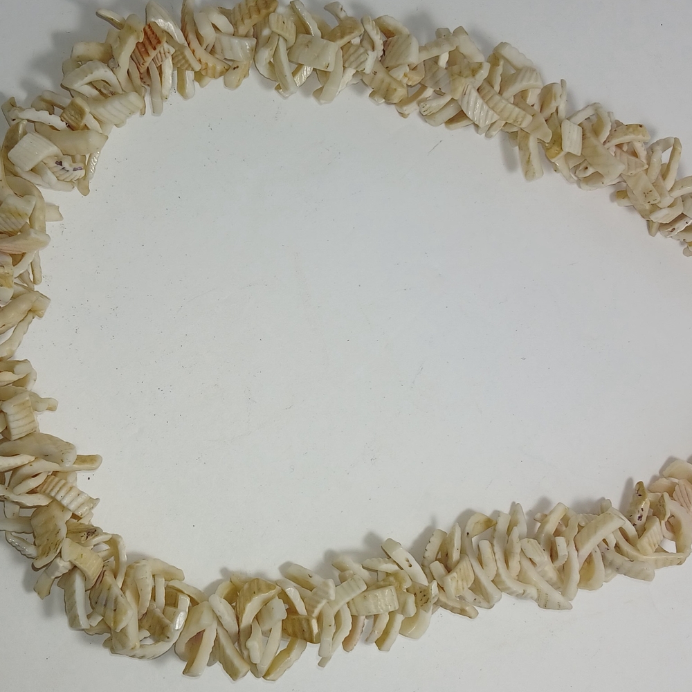 Natural Shell Necklace